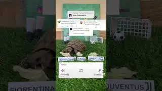 🟣FIORENTINA VS JUVENTUS⚫️ #calcio #turtle #fantacalcio #seriea #highlights #juventus #fiorentina