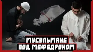 Мусульмане под мефедроном