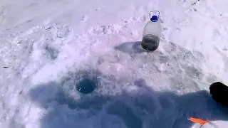 Не уёдешь!