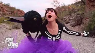 Birds and Arrows - Truth or Consequences [Official Video]