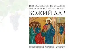 Ибо благодатью вы спасены через веру, и сие не от вас, Божий дар | Протоиерей Андрей Чернеев