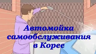 #автомойкавкорее #корея        Автомойка самообслуживания в Корее