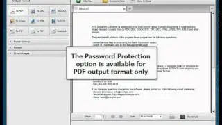 How to password PDF files using AVS Document Converter?