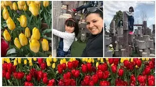 SEM TULIPAS, PORÉM DIVERSÃO GARANTIDA