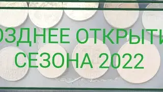 Позднее открытие сезона 2022/коп монет с металлоискателем
