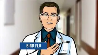 Bird flu