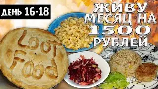 Выживаю месяц на 1500 рублей. Осень 2024 год. День 16-18.