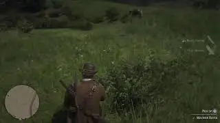 RDR 2... pt. 4