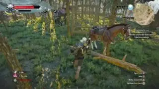 The Witcher 3: Wild Hunt - Roach, how'd you do that?