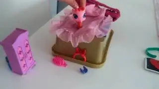 Miniş evimi tanıtıyorum