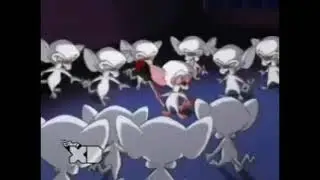 Pinky And The Brain On Disney XD (2009) (PICTURES ONLY) (For @RealMrHustlemusic& @dxdfanatic07)
