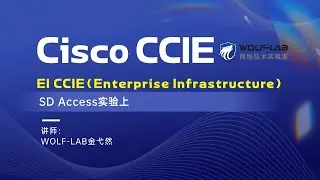 Cisco CCIE EI-SD Access实验上