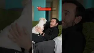 When Dogs are Family…