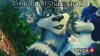 Shurchi Quwayt - Bo'rilar