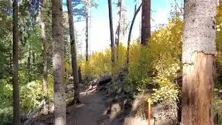Lockett Meadow Arizona