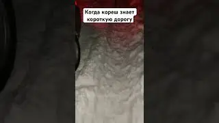 Когда кореш знает короткую дорогу 