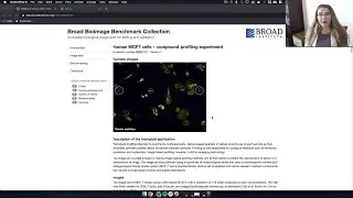 Run complex HCS Pipelines with CellProfiler with Apache Airflow