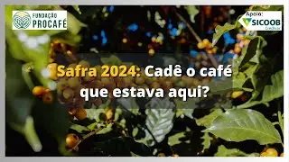 Podcast #134 - Safra 2024: Cadê o café que estava aqui?