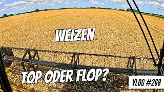 Vlog #268 Der erste Schlag Weizen! Top oder Flop?