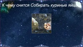 К чему снится Собирать куриные яйца (Сонник)
