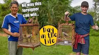 Farang joins a Bird Singing Competition in Southern Thailand - Nakhon si Thammarat