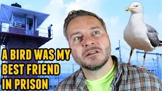A Broke Winged Seagull In Prison (Prison Story Time)