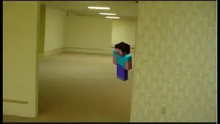 Steve in the backrooms