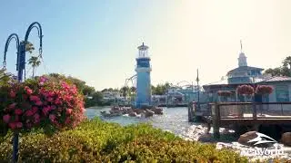WE ARE LIVE! At the Journey To Atlantis Aquarium