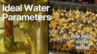 How Much Filter Media Do You REALLY Need for a Goldfish Tank?
