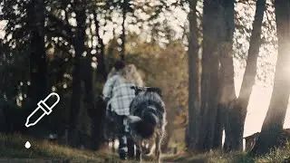 RUDENS IDILĖ / An Autumn Idyll