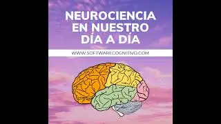 Nuestro sistema nervioso