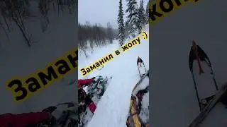Супер гид втянул в гнилуху🤦‍♂️ 