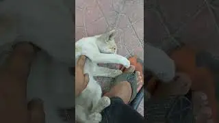 he is very happy 😺