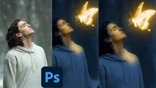 Butterfly with man Glowing effect in Photoshop | Photoshop manipulation | fast and easy