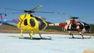 Two BIG RC Hughes MD530F (T-Rex 600 Size) with SCALE ROTORHEADS (2)