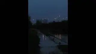 sqwvx - rainy morning