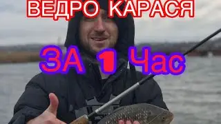 РЫБАЛКА НА ГРУШКУ /РЫБАЛКА НА КАРАСЯ 2022/рыбалка раздача карася