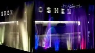 Фонтан Roshen, м. Вінниця