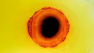 Solar Ink Explosion - Sun burning - Macro surface tension