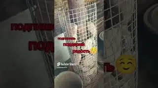 Баня Своими руками с малым бюджетом#банясвоимируками #своимируками #обзор #2024 #баня