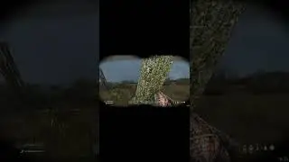 ГАИШНИК СНОРК ДОКОПАЛСЯ ДО ЧН DAYZ STALKER RP 