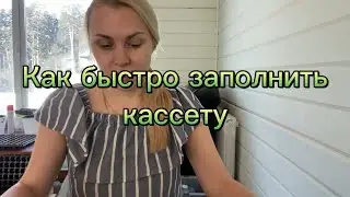 26 января 2024 г.