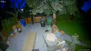 XPO Home Depot Delivery 11 27 20