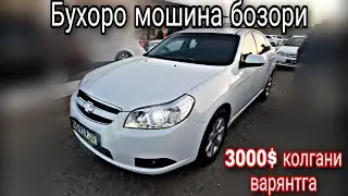 4 та Эпика нархлари Бухоро мошина бозор
