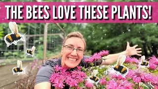 Planting Perennials for the Pollinators!