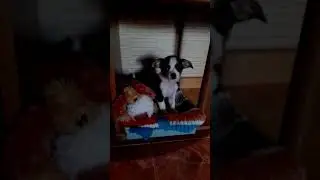 Соня первый день дома