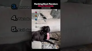 Ranking Best Random Meme Sounds