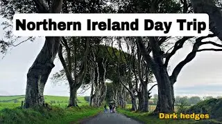 Unforgettable Day Tour to Giant's Causeway and Dark Hedges from Belfast | 2023