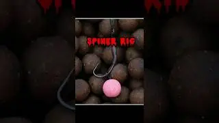 Поводок на карпа и сазана. поймали карпа 11.3кг 