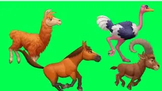 Animals Run Fast Green Screen |#greenscreen  |#animals